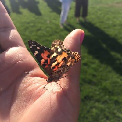 Releasing a butterfly in memory of my father at the Wings of Hope event.