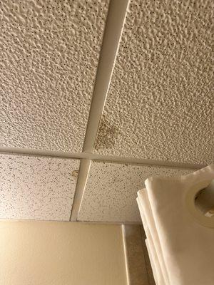 Bathroom ceiling with mold