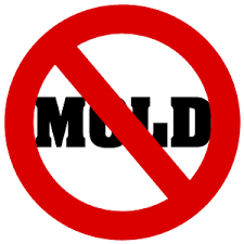 No Mold Allowed !!!