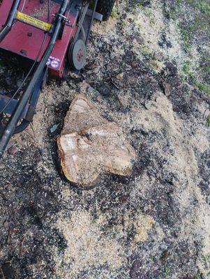 Stump Grinding