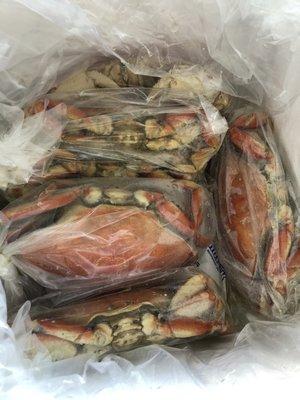 6 Crabs on ice delivered halfway across the country!!