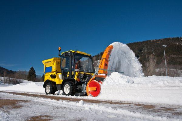 Tahoe Park Snow Job & Tree Services