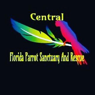 Central Florida Parrot Sanctuary And Parrot Rescue