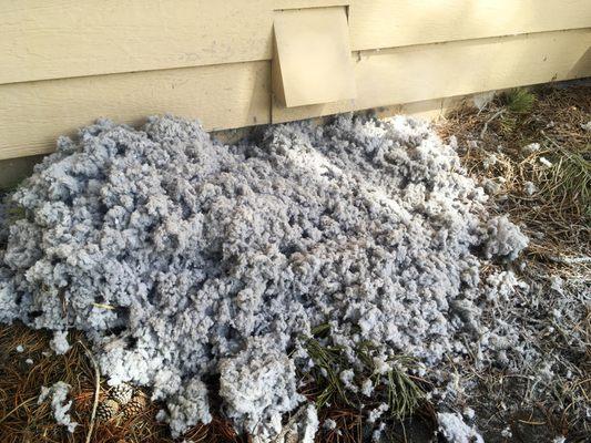 Impressive lint haul from a customer's dryer duct. Lint Busters of Central Oregon // Certified Dryer Exhaust System Cleaning & Service