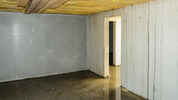 Wet Basement Waterproofing