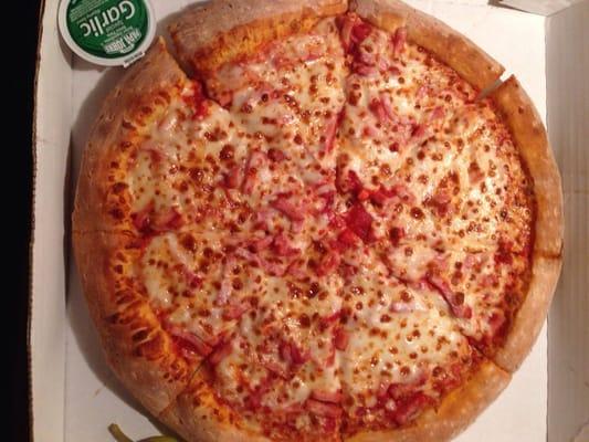 Papa Johns Pizza