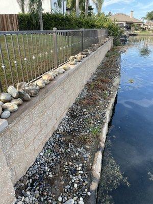 A cheap company installed these stones without a weed barrier.