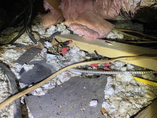 High voltage junctions not secure left in attic around insulation.