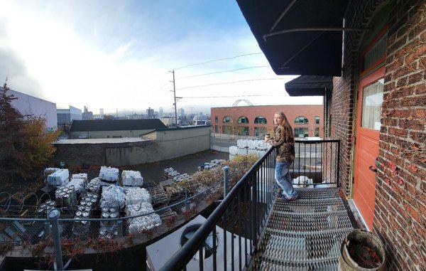 View of the city from the back hotel entrance.