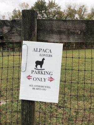 Cedar lane alpacas