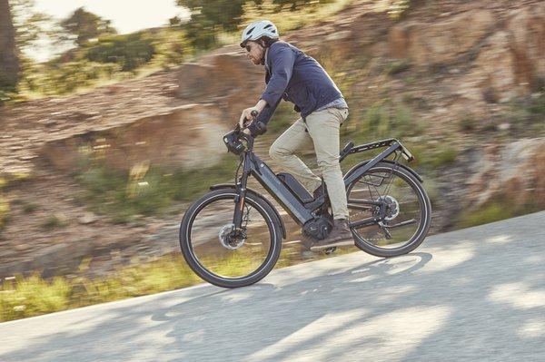 Riese & Müller electric bikes are available at Electric Avenue!