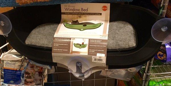 Window Bed