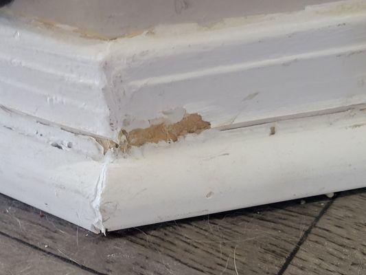 Damage to baseboards