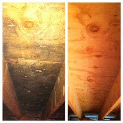 before and after attic mold