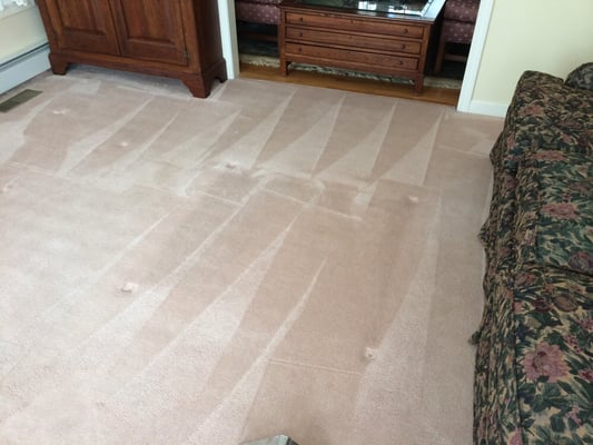 Carpet cleaning and Scotchgard protection