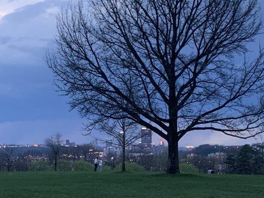 Schenley Oval