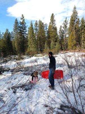 One of the sled rentals! Great quality, and only $5