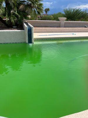 Our green pool courtesy of Arizona Pima Chemical Pool Service.