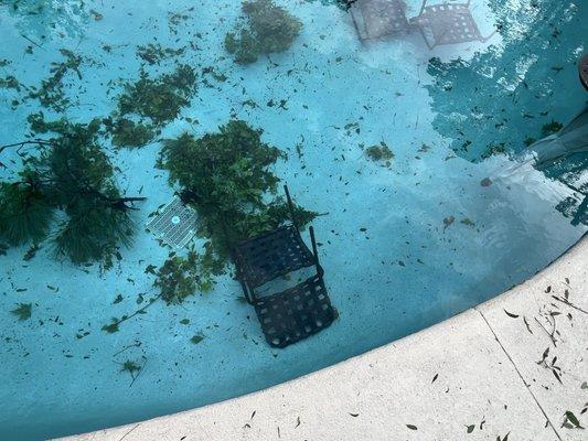 I guess it's asking too much for them to store away the pool area furniture.  This is how KEYSTONE/HOA prepare for our storms.