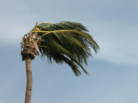 We represent policy holders with Hurricane and Windstorm Damage Claims