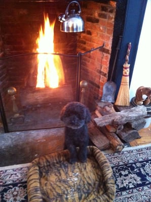 Marcello by the Fire.:)