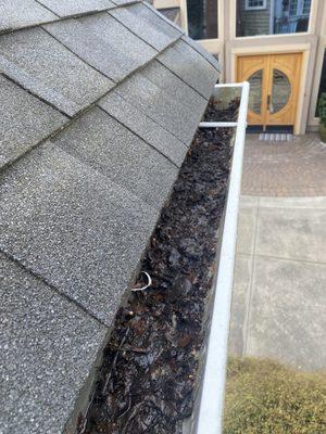 Roofing services, roof leak repair, Moss removal, gutter cleaning, pressure wash, house wash