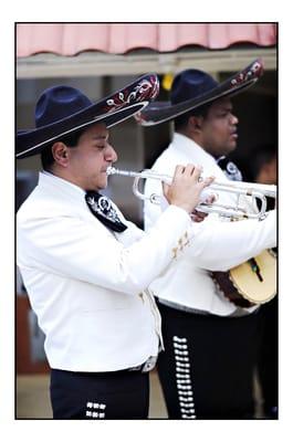 Mariachi Voces de America