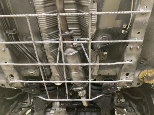 Cage around the catalytic converter.