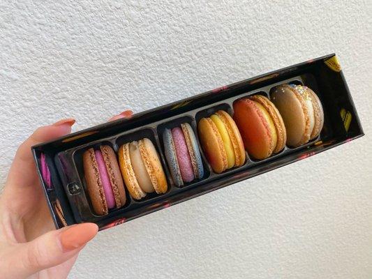 6 pack macaron