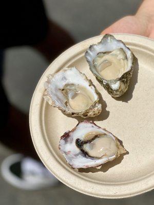 Kumamoto and Pacific (raw oysters) - 3 for $9