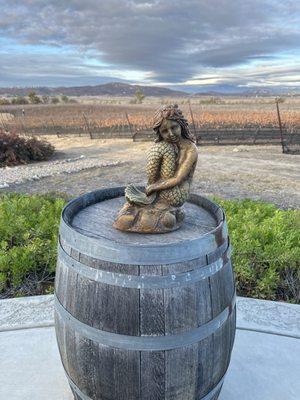 Mermaid Valley Vineyard