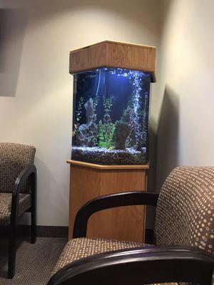 Obligatory dental office aquarium.