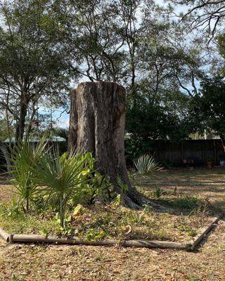 Asked for stump to be left as is to decorate and put up bird feeders for the traveling feathered friends passing through.