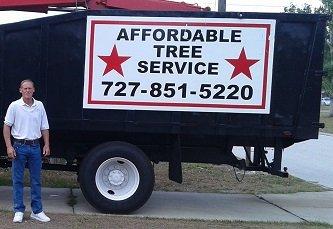 Tree Canopy Elevation To Removal Affordable Tree Service of Pinellas