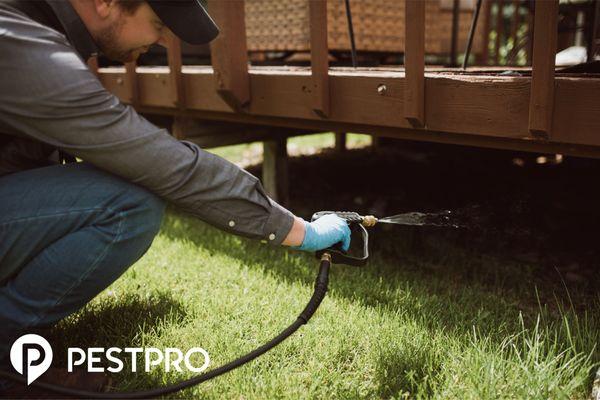 A Pest Pro technician inspecting and spraying under the deck of a home.