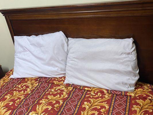 Pillow with no pillow case