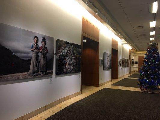 National Geographic Fine Art Galleries in Downtown San Diego in the heart of the historic Gaslamp Quarter