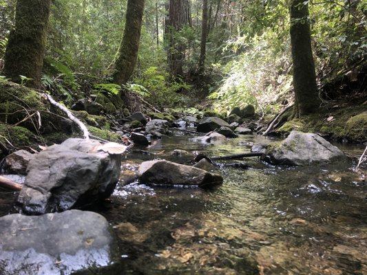 FRMs projects promote healthy watersheds through forestland conservation and the use of best management practices.