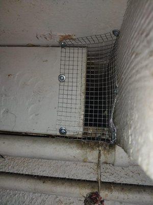 Rodent proofing in San Jose, CA

Rodent proofing done in the form of trapping, sealing, and cleaning