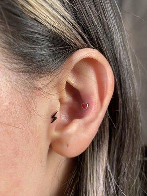 Tragus and conch.