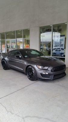 Shelby GT350