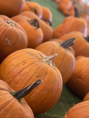 Pumpkin selection