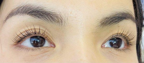 Lash Lift