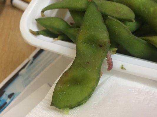 Found worms in my edamame. Never eating here again.