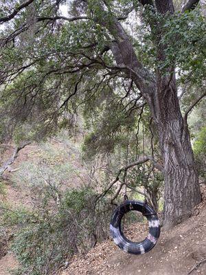 Tire Swing.