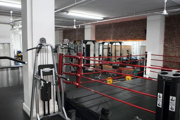 Portion of the regulation size boxing ring