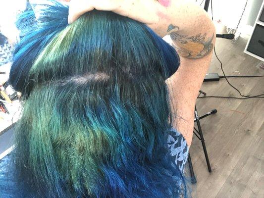 broken hair, green roots, and very badly done dye job. I ended up  dying it myself and having to have a lot cut off.