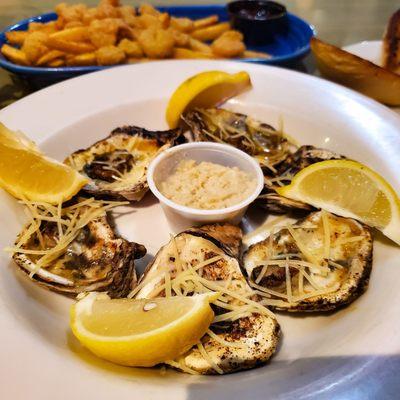 Grilled Oysters