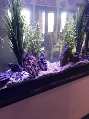 Freshwater artificial planted tank with Dragon stones