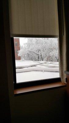 View from hospital at Legacy Good Samaritan Medical Center.